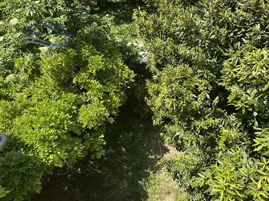 Immagine 28 di Casa bifamiliare in vendita  in Via Montegrappa a Padova