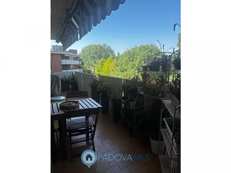 Immagine 3 di Appartamento in vendita  in Via Antonio Vivaldi 18 a Cadoneghe