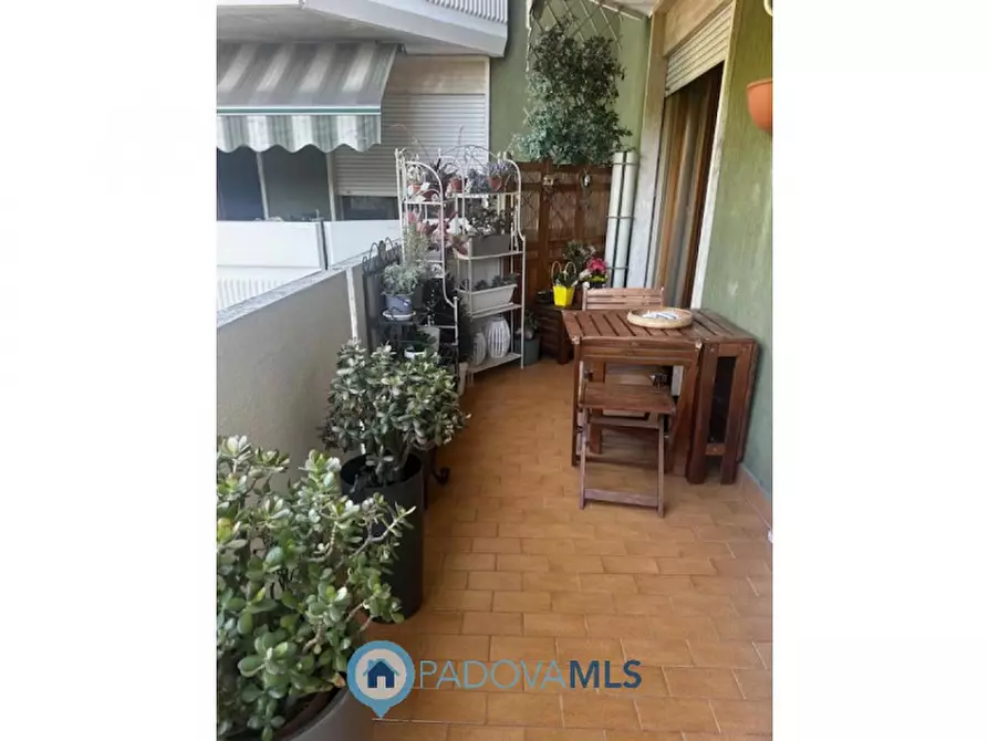 Immagine 4 di Appartamento in vendita  in Via Antonio Vivaldi 18 a Cadoneghe