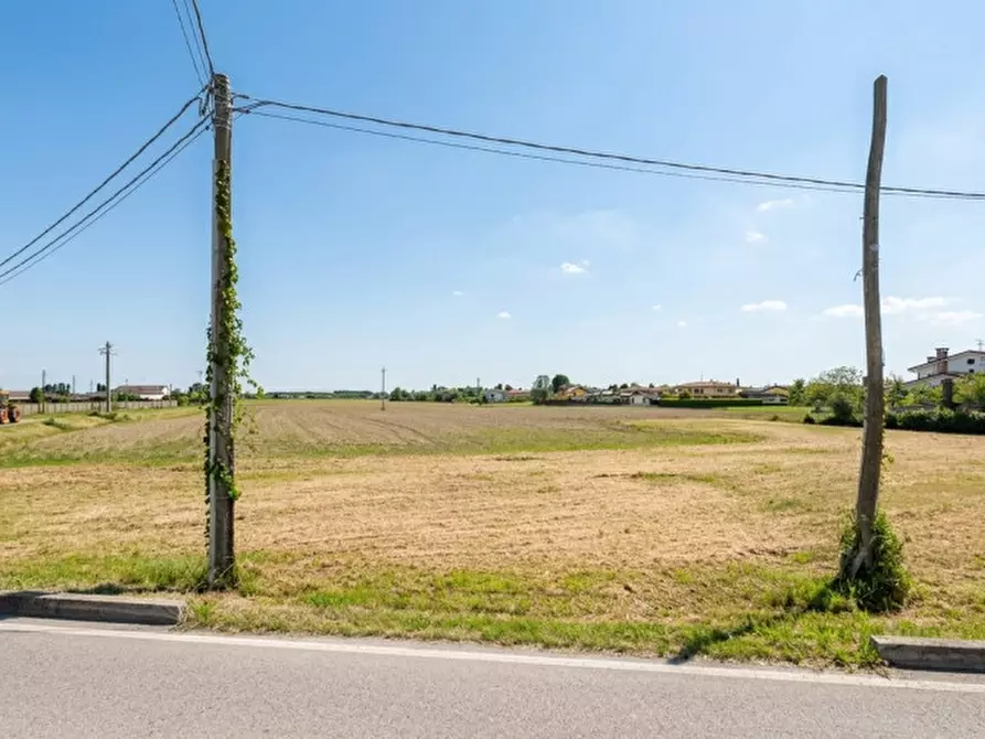 Immagine 2 di Terreno in vendita  in Via Camatte 95 a Castelmassa