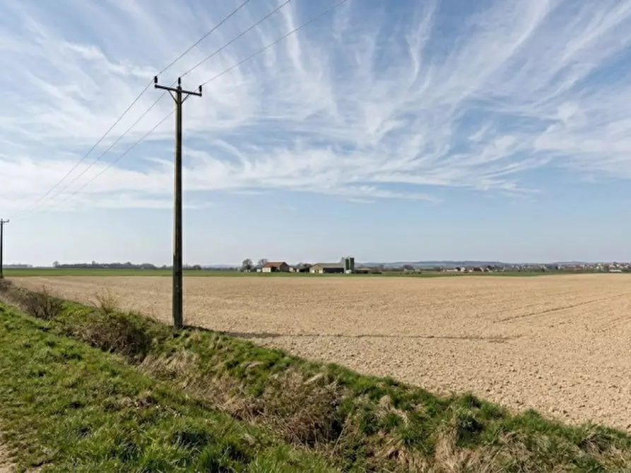 Immagine 4 di Terreno in vendita  in Via Camatte 95 a Castelmassa