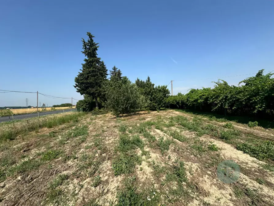 Immagine 4 di Casa indipendente in vendita  in Via Motta a Mirandola