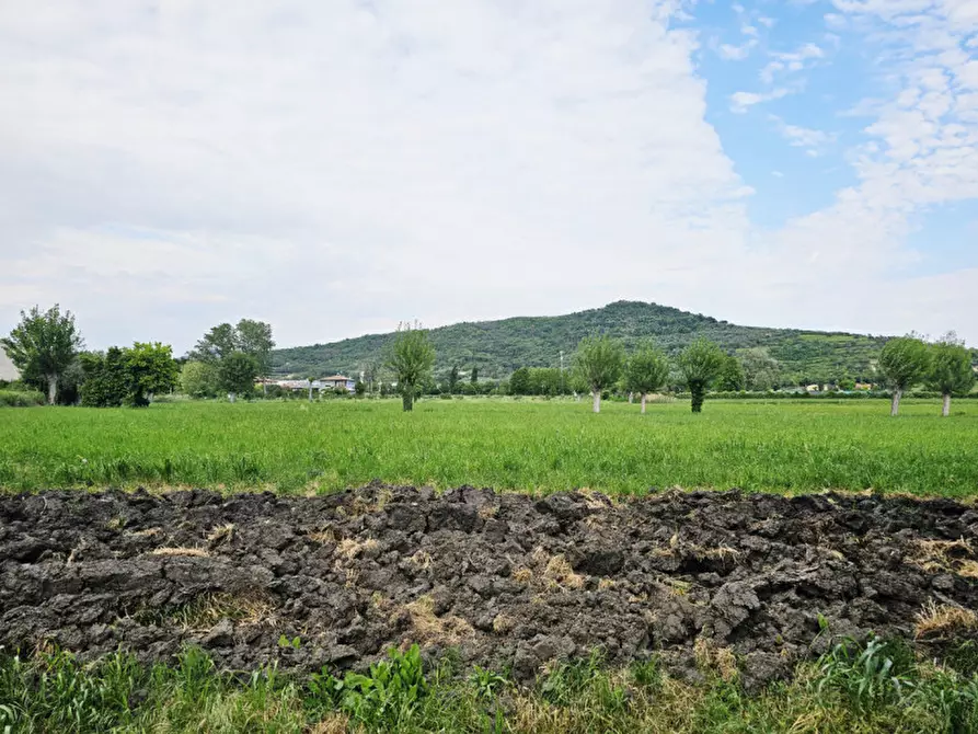 Immagine 2 di Rustico / casale in vendita  in VIA CA' BORINI a Baone