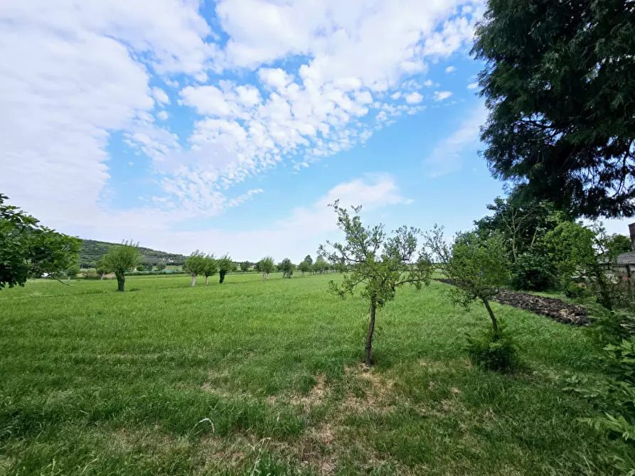 Immagine 6 di Rustico / casale in vendita  in VIA CA' BORINI a Baone
