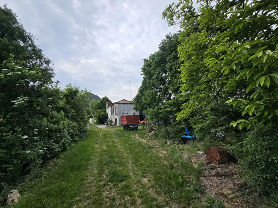 Immagine 8 di Rustico / casale in vendita  in VIA CA' BORINI a Baone