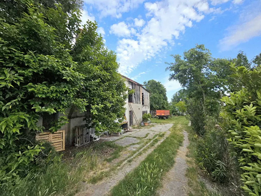 Immagine 12 di Rustico / casale in vendita  in VIA CA' BORINI a Baone