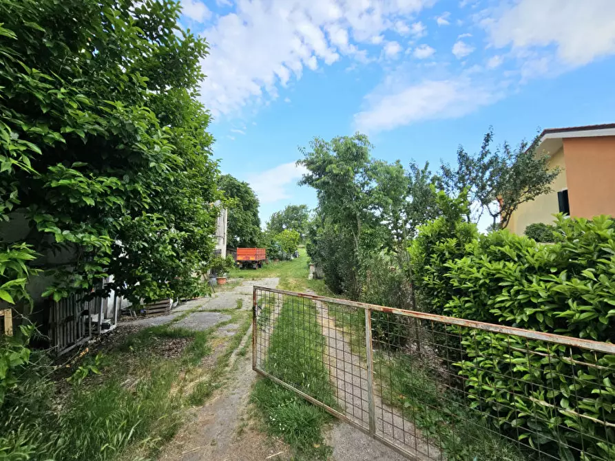 Immagine 13 di Rustico / casale in vendita  in VIA CA' BORINI a Baone