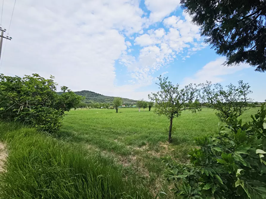 Immagine 14 di Rustico / casale in vendita  in VIA CA' BORINI a Baone
