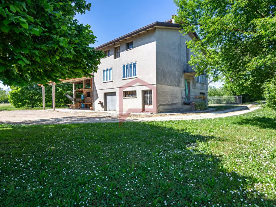 Immagine 5 di Casa indipendente in vendita  in Mirano a Mirano