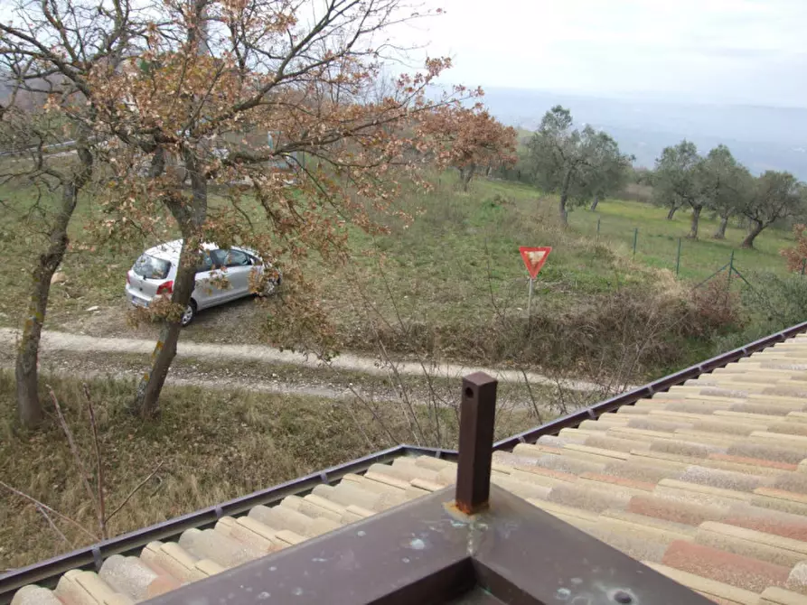 Immagine 6 di Villa in vendita  in San Martino a Apice