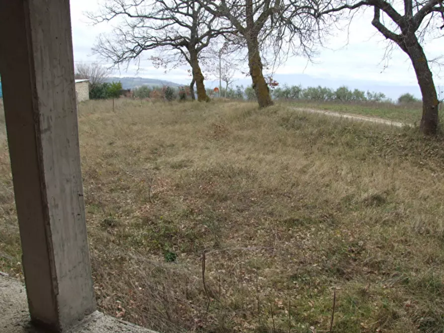 Immagine 9 di Villa in vendita  in San Martino a Apice