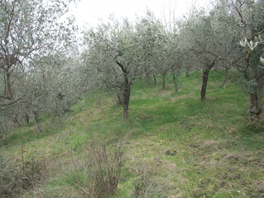 Immagine 10 di Villa in vendita  in San Martino a Apice