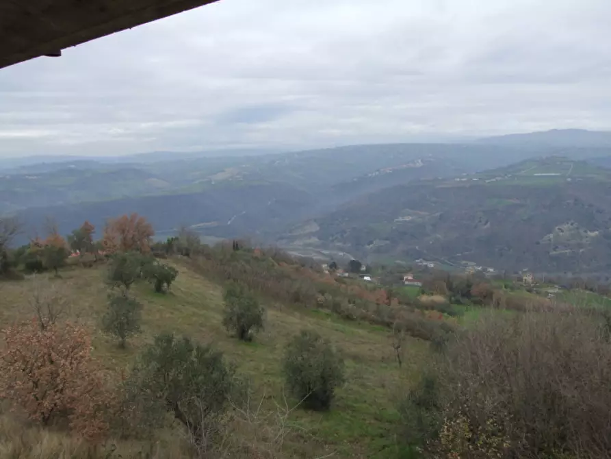 Immagine 11 di Villa in vendita  in San Martino a Apice