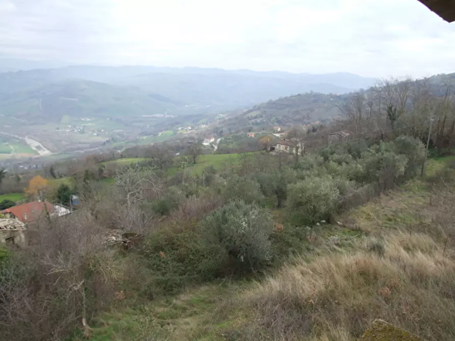 Immagine 12 di Villa in vendita  in San Martino a Apice