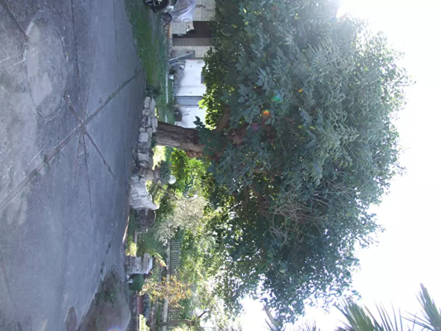Immagine 9 di Casa indipendente in vendita  in Sant'Antonio a Apice
