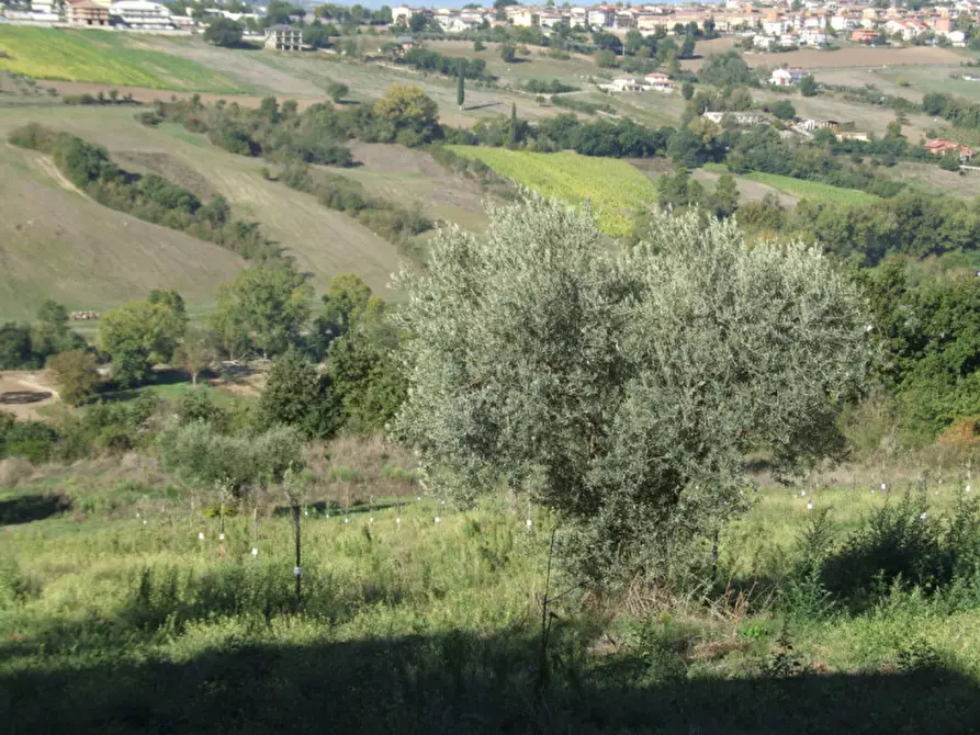 Immagine 13 di Casa indipendente in vendita  in Sant'Antonio a Apice