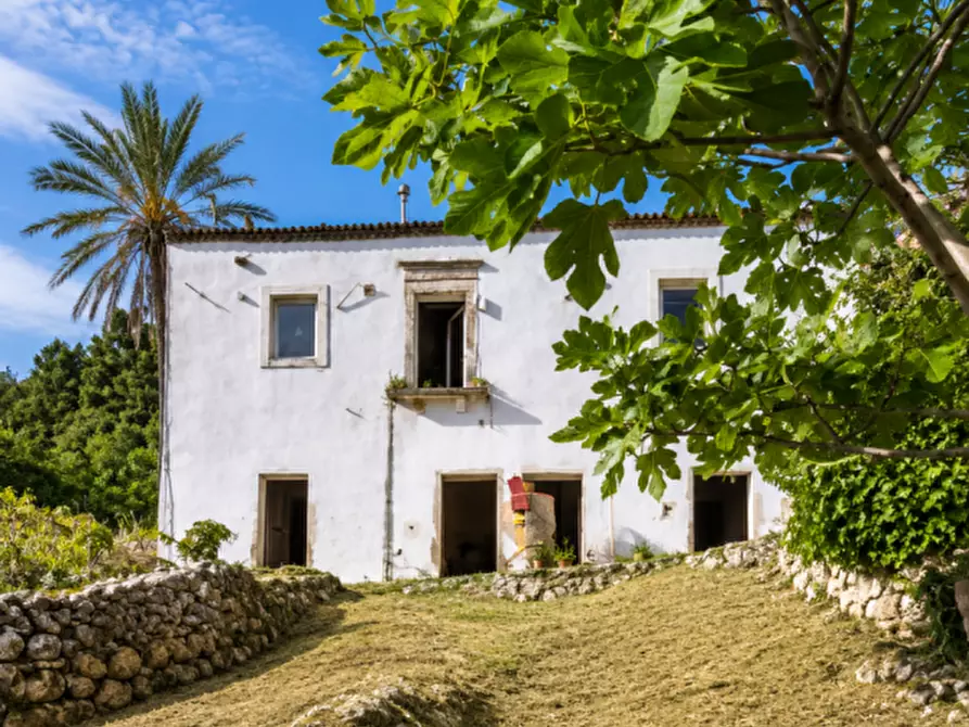 Immagine 3 di Rustico / casale in vendita  in san biagio a Vico Del Gargano