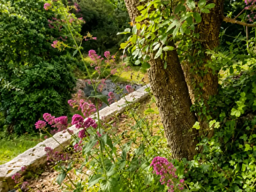 Immagine 4 di Rustico / casale in vendita  in san biagio a Vico Del Gargano