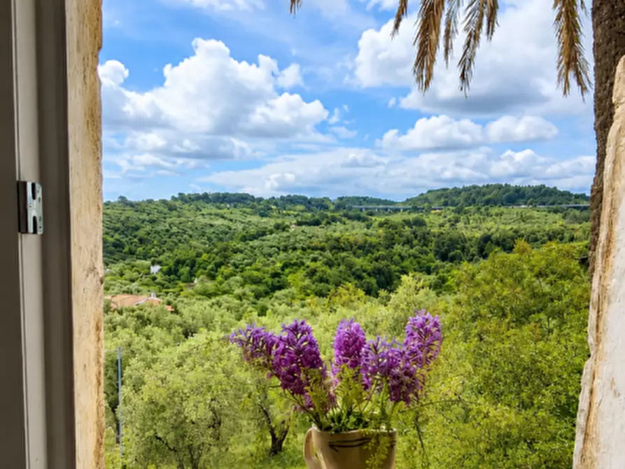 Immagine 13 di Rustico / casale in vendita  in san biagio a Vico Del Gargano