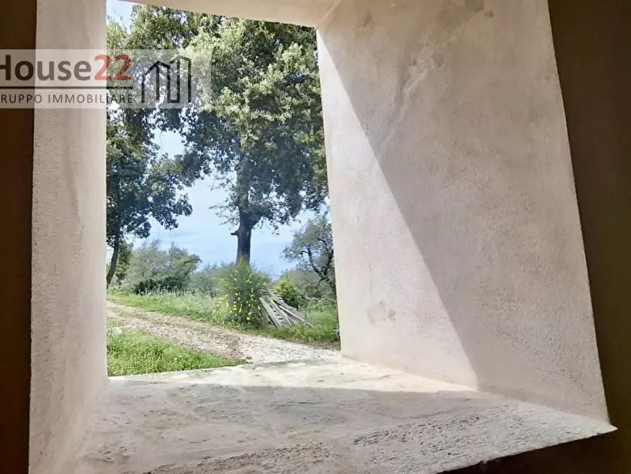 Immagine 22 di Rustico / casale in vendita  in san biagio a Vico Del Gargano