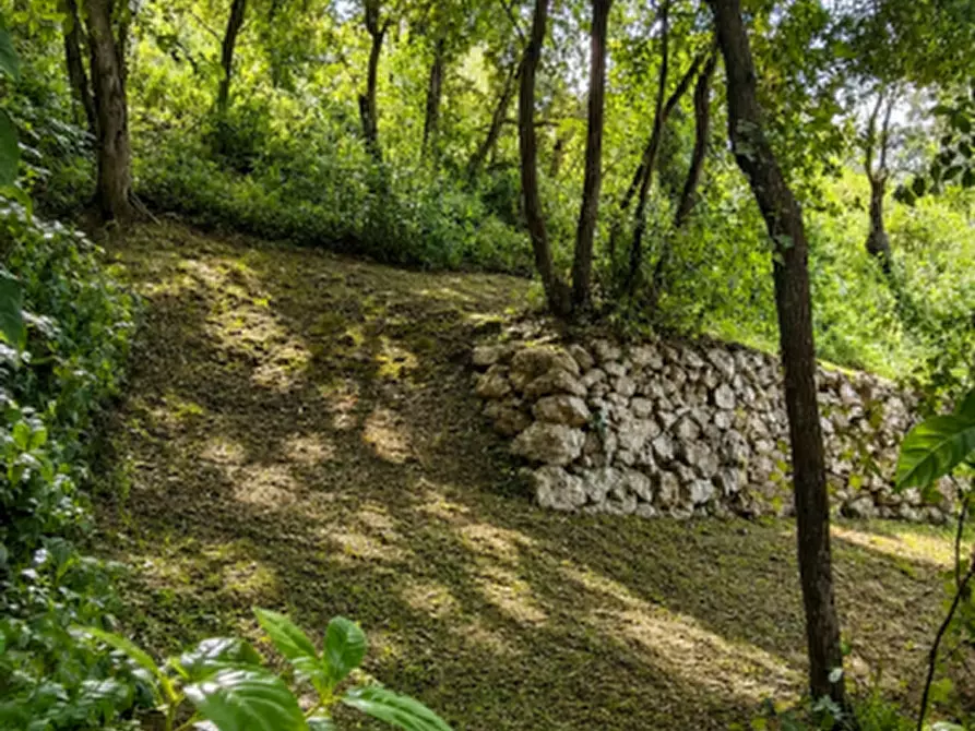 Immagine 27 di Rustico / casale in vendita  in san biagio a Vico Del Gargano