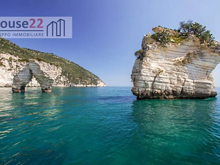 Immagine 34 di Rustico / casale in vendita  in san biagio a Vico Del Gargano