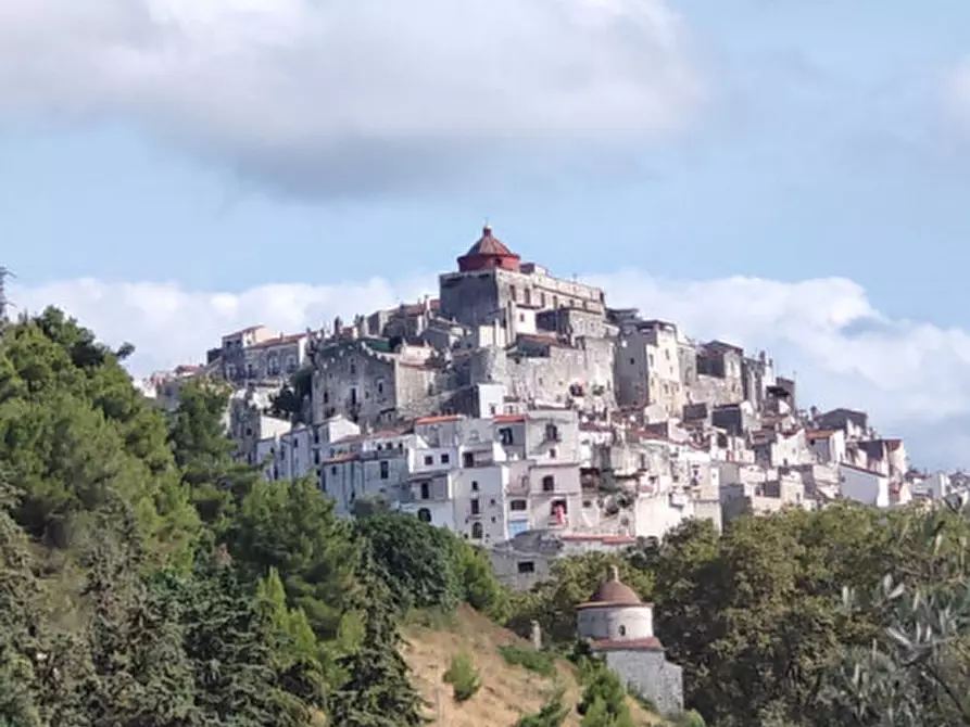 Immagine 35 di Rustico / casale in vendita  in san biagio a Vico Del Gargano