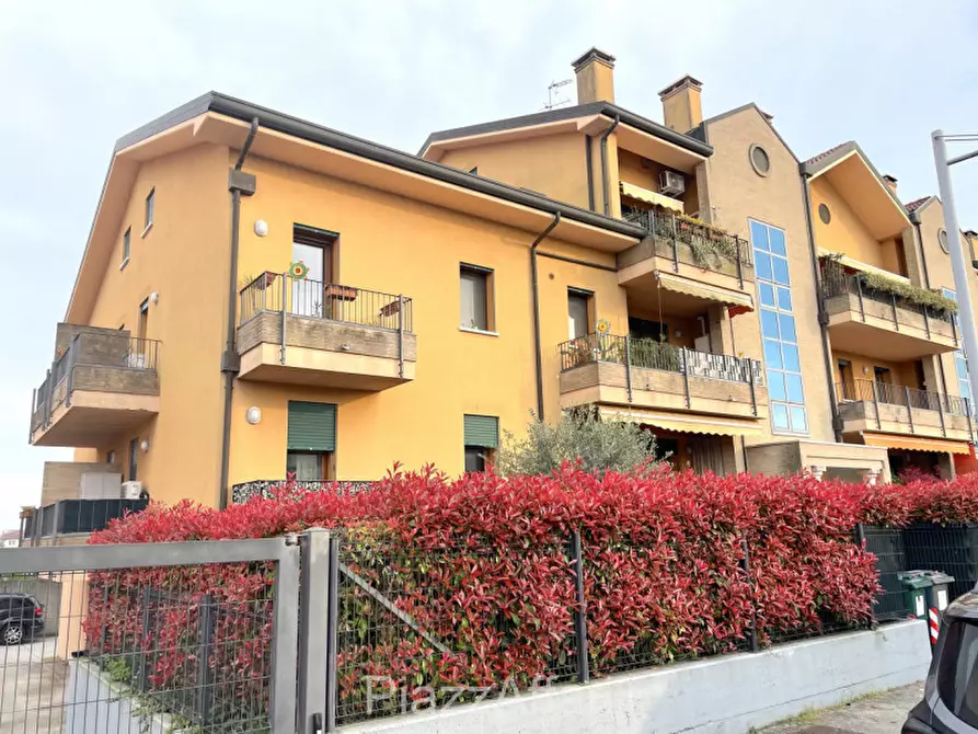 Immagine 4 di Appartamento in vendita  in Via IV Novembre a Piove Di Sacco