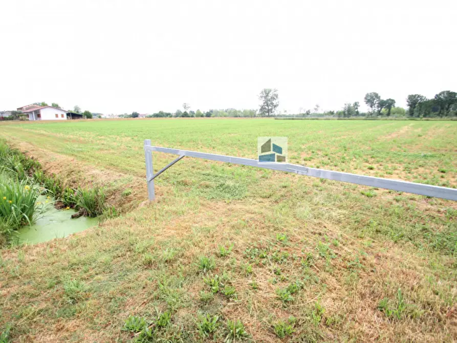 Immagine 3 di Terreno in vendita  a Santa Maria Di Sala