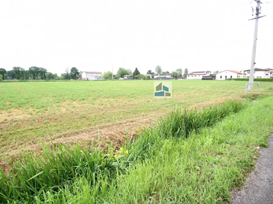 Immagine 4 di Terreno in vendita  a Santa Maria Di Sala