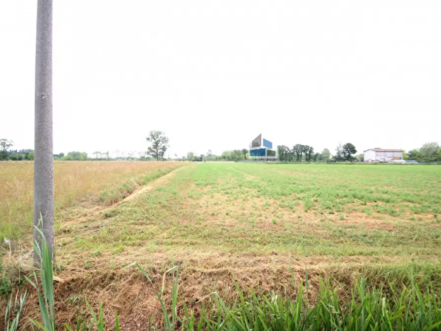 Immagine 5 di Terreno in vendita  a Santa Maria Di Sala