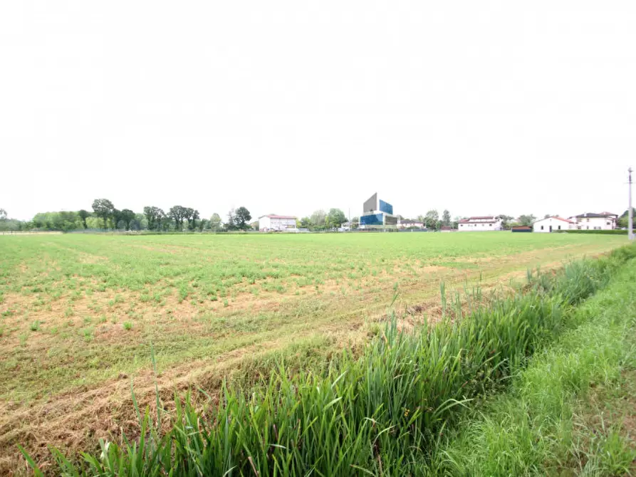 Immagine 6 di Terreno in vendita  a Santa Maria Di Sala