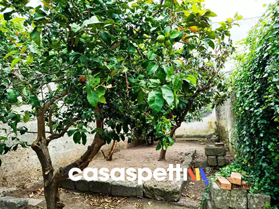 Immagine 3 di Appartamento in vendita  in Corso Umberto a Trepuzzi
