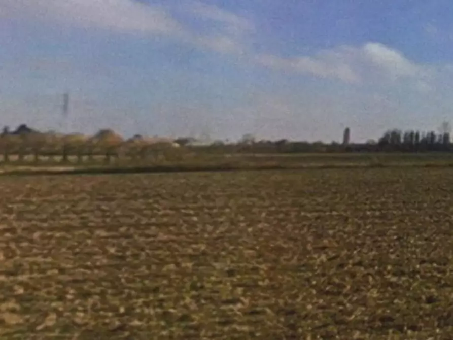 Immagine 1 di Terreno in vendita  in Via Lunganega a Vigonza