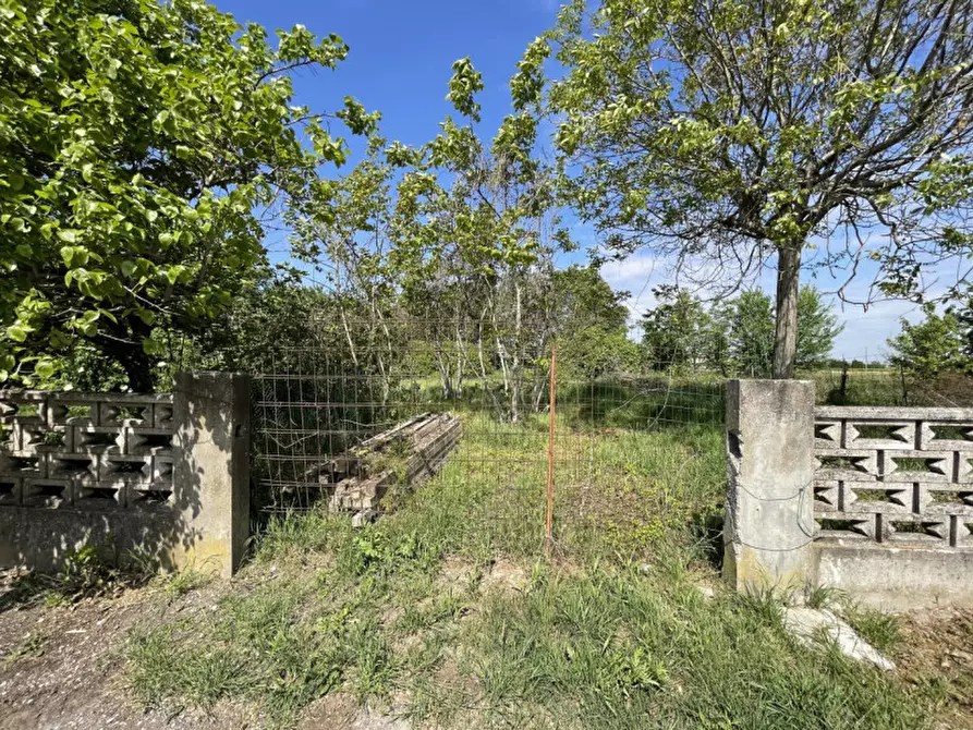 Immagine 20 di Casa indipendente in vendita  a Suzzara