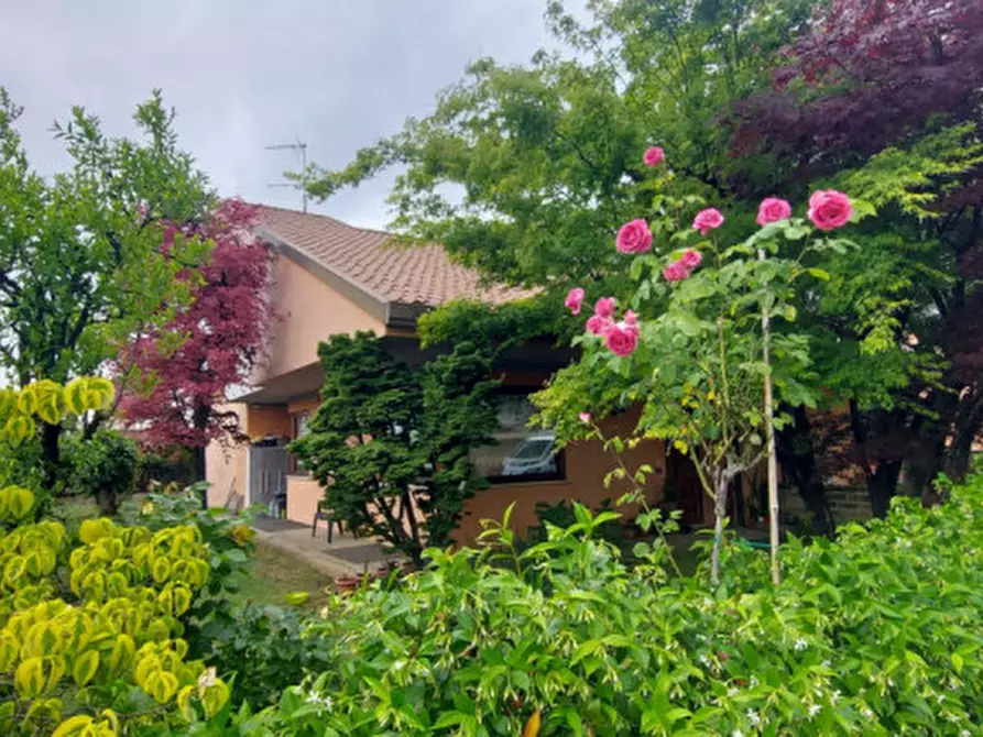 Immagine 2 di Casa bifamiliare in vendita  a Castelfranco Veneto