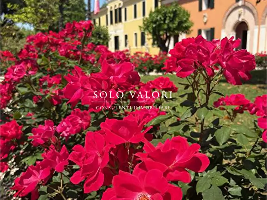 Immagine 3 di Villa in vendita  a Camposampiero