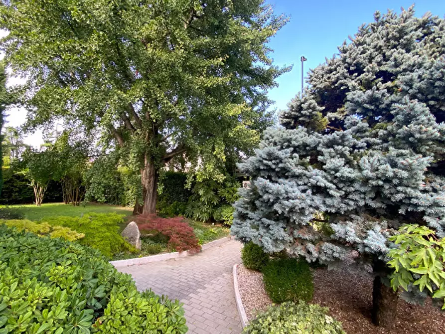 Immagine 6 di Villa in vendita  in VIA VIGASIO a Vigasio