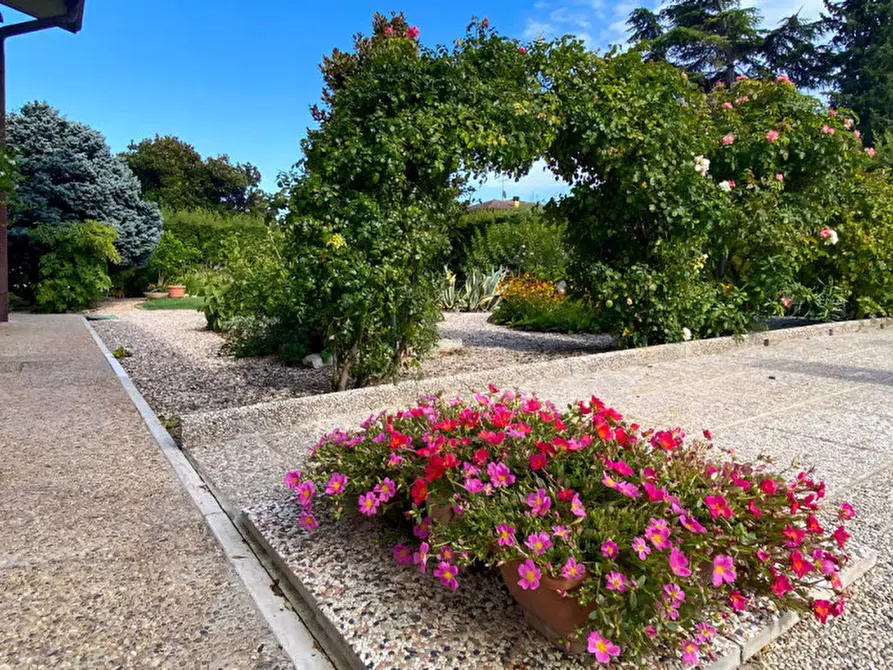 Immagine 18 di Villa in vendita  in VIA VIGASIO a Vigasio