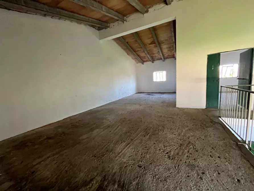 Immagine 18 di Casa indipendente in vendita  in Via Giovanni Pascoli a Vigonovo
