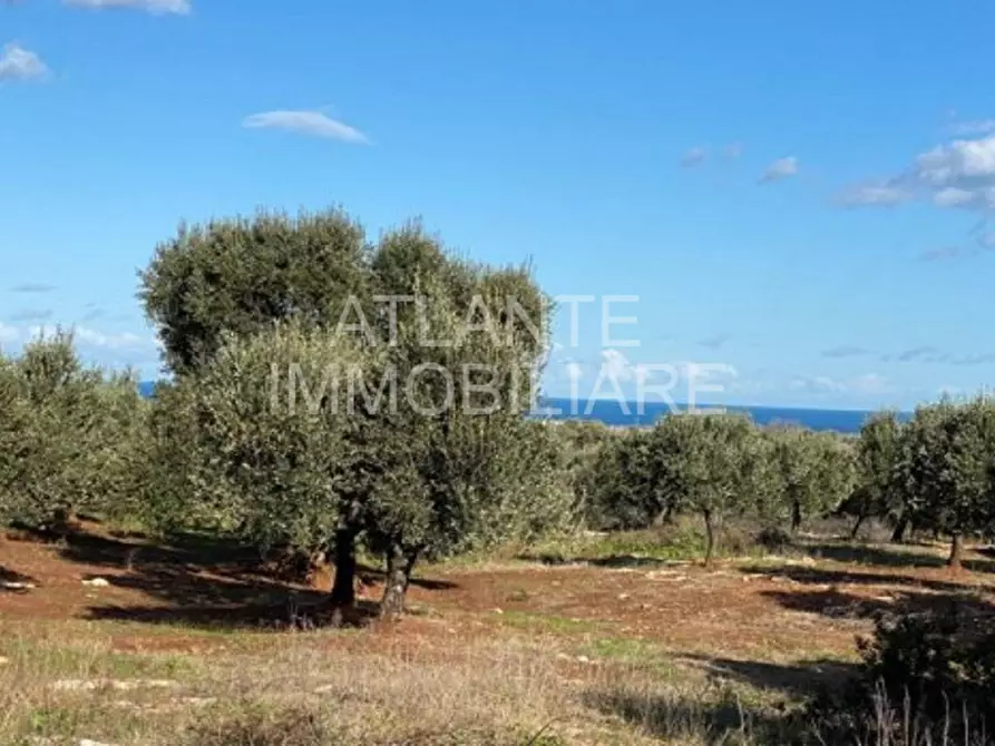 Immagine 1 di Terreno in vendita  in Via San Clemente a Misano Adriatico