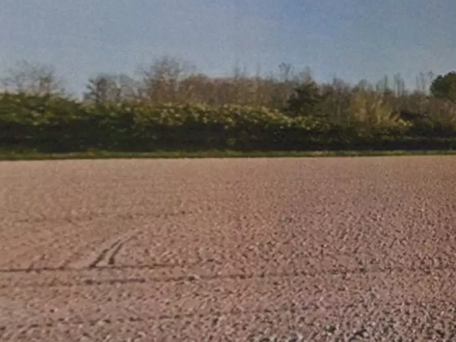 Immagine 1 di Terreno in vendita  in Via Barbariga a Vigonza