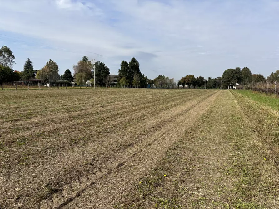Immagine 1 di Terreno in vendita  in Via Ugo Buson a Conselve