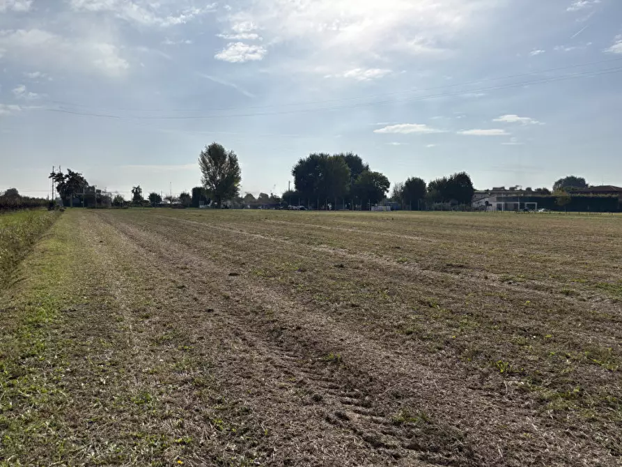 Immagine 2 di Terreno in vendita  in Via Ugo Buson a Conselve