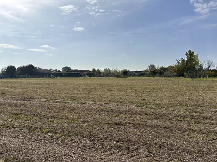 Immagine 3 di Terreno in vendita  in Via Ugo Buson a Conselve
