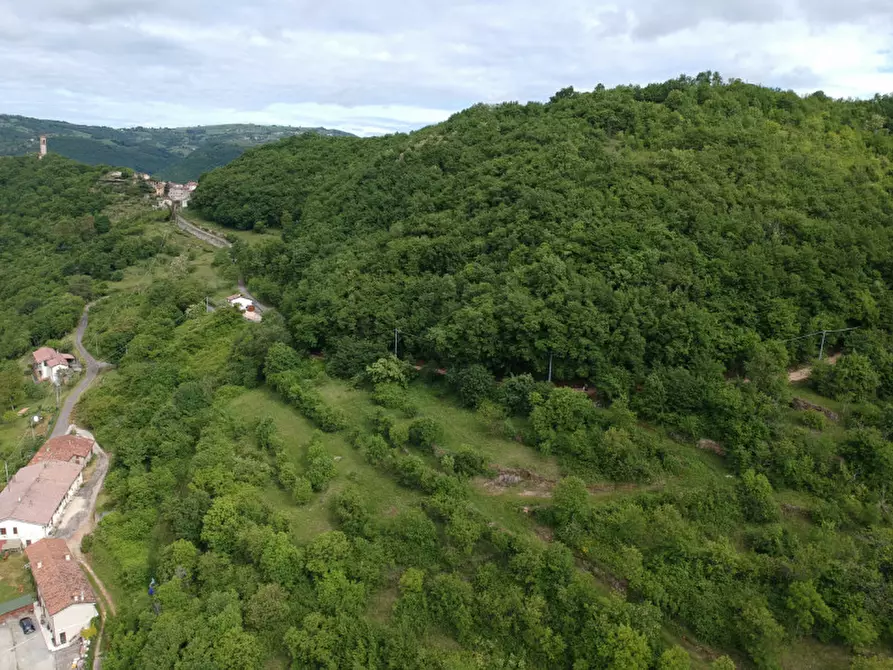Immagine 6 di Terreno in vendita  in Via Perini a Badia Calavena