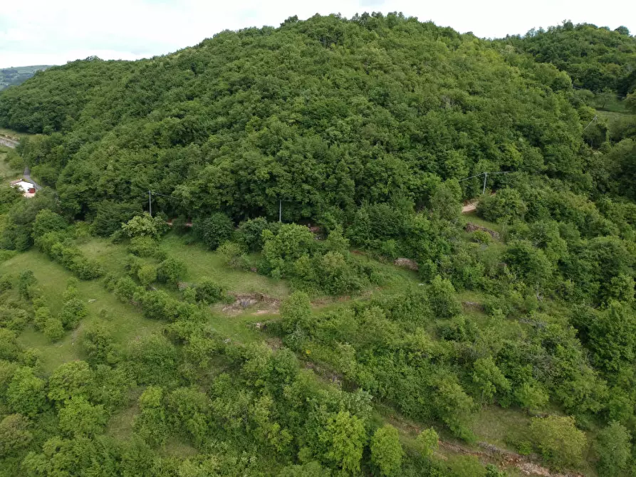Immagine 8 di Terreno in vendita  in Via Perini a Badia Calavena