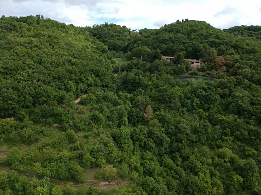 Immagine 9 di Terreno in vendita  in Via Perini a Badia Calavena
