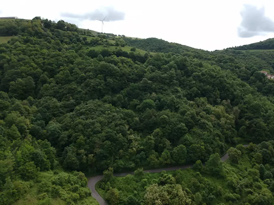 Immagine 10 di Terreno in vendita  in Via Perini a Badia Calavena