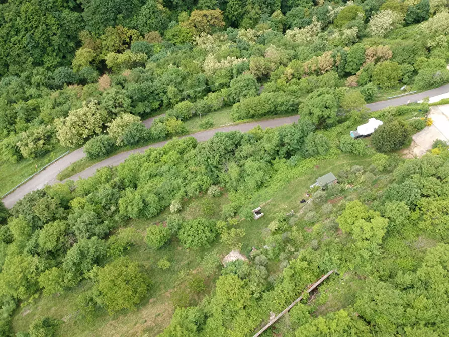 Immagine 11 di Terreno in vendita  in Via Perini a Badia Calavena